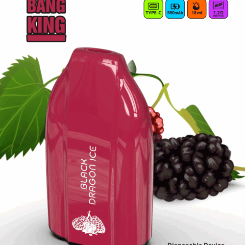 Bang King 12000 Puffs Key Poster1