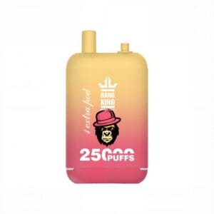 Bang King 25000 Dual Pods Vape