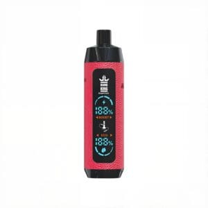 Bang King 25000 Puffs Shisha/Hookah Vape