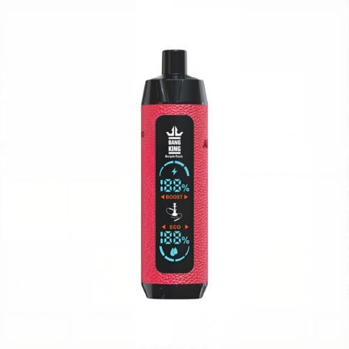 Bang King 25000 Puffs Shisha/Hookah Vape