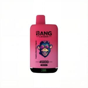 Bang Leader 45000 Puffs Dual Flavors Disposable Vape Front View