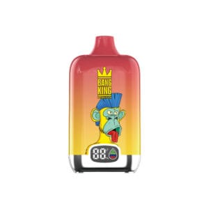Bang King 15000 Puffs Disposable Vape Front View with Display Screen