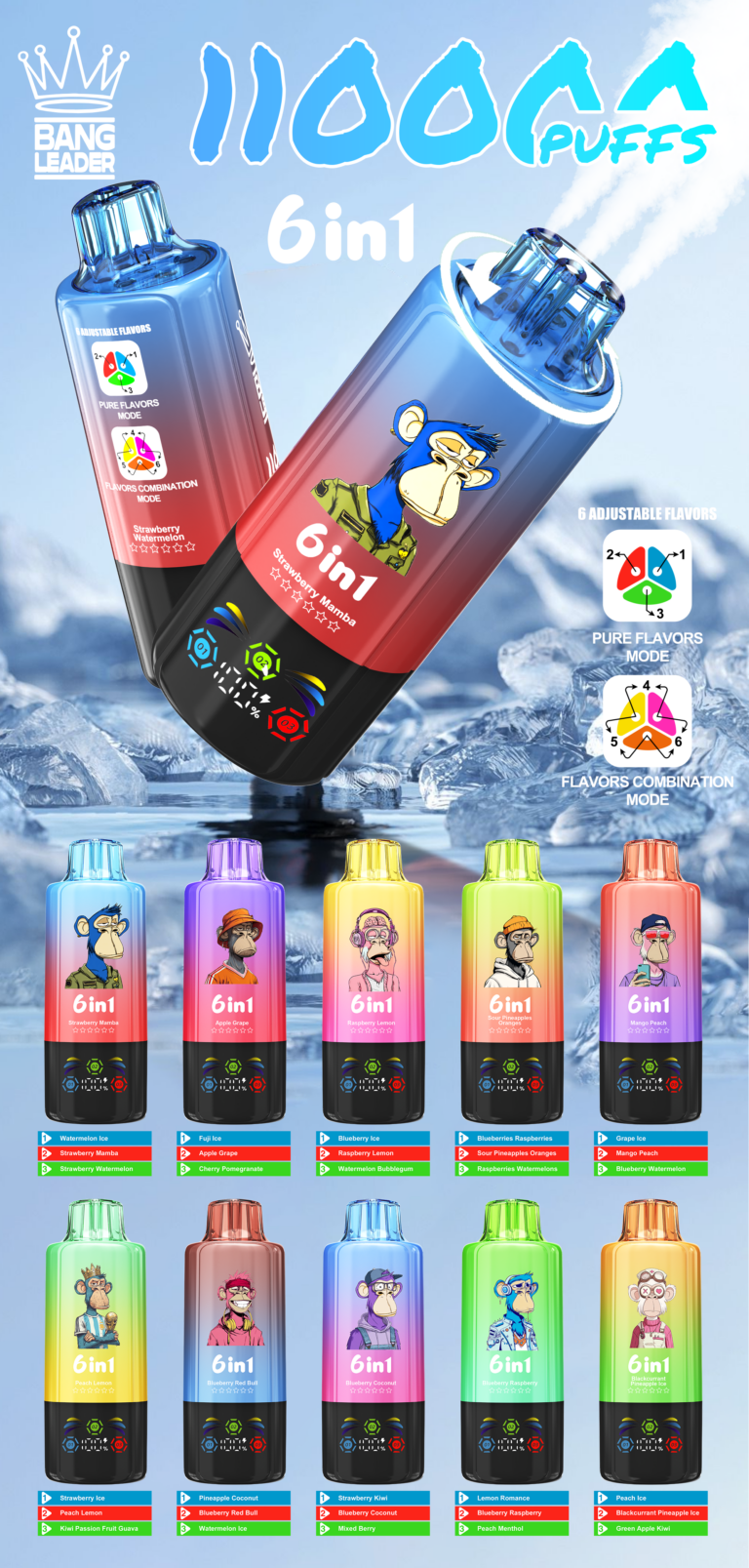 Bang Leader 110k Puffs 6 in 1 Flavor flavors