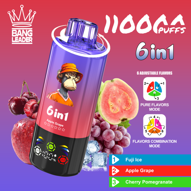 Bang Leader 110k Puffs 6 in 1 Flavor specifications