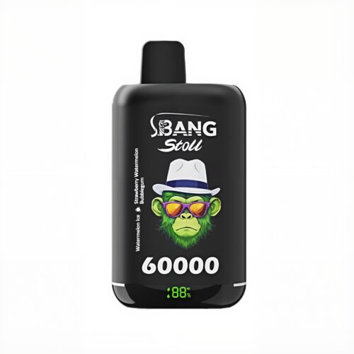 Bang Leader 60000 Puffs - Switchable Dual Flavors