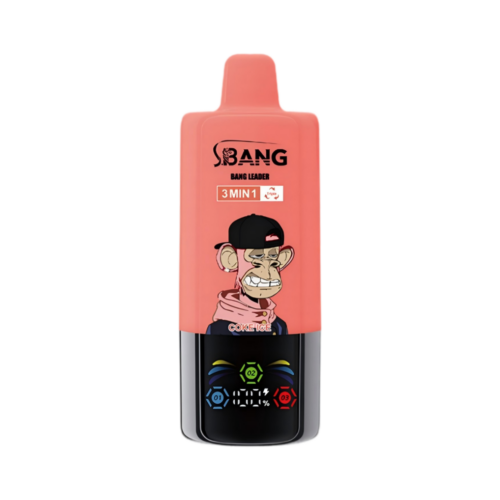 bang leader 850000 3 in 1 flavor - front Bang Leader 85000 Puffs - 3 in 1 Flavors - Disposable Vape