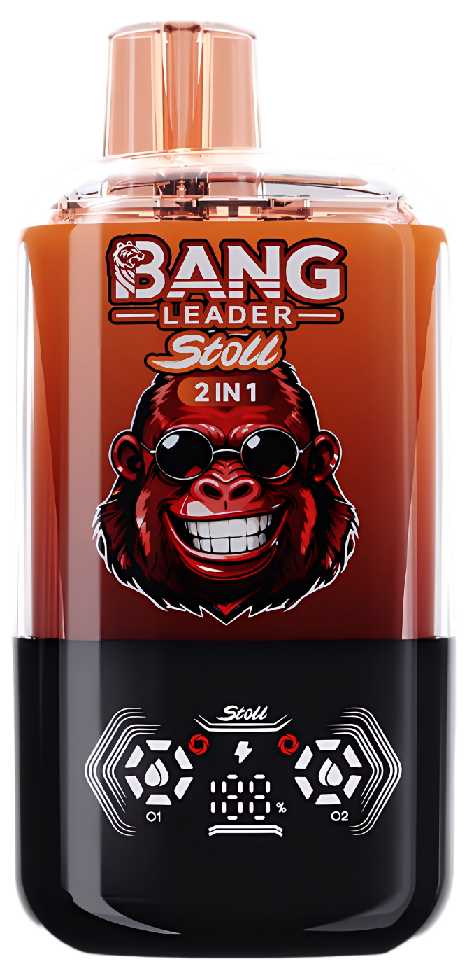 Best-Selling Wholesale Models