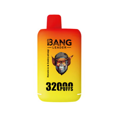 Bang Leader 32000 Puffs Dual Flavors - Disposable Vape