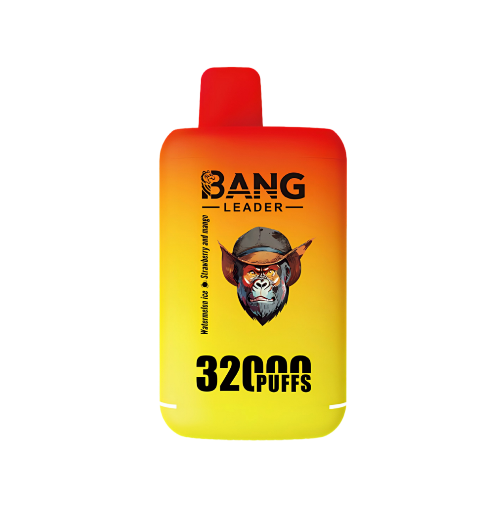 Bang Leader 32000 Puffs Dual Flavors - Disposable Vape