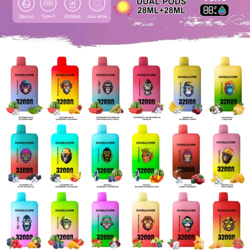 Bang Leader 32000 Puffs Dual Flavors - Disposable Vape