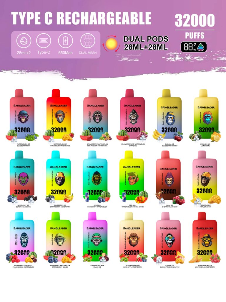 Bang Leader 32000 Puffs Dual Flavors - Disposable Vape flavors