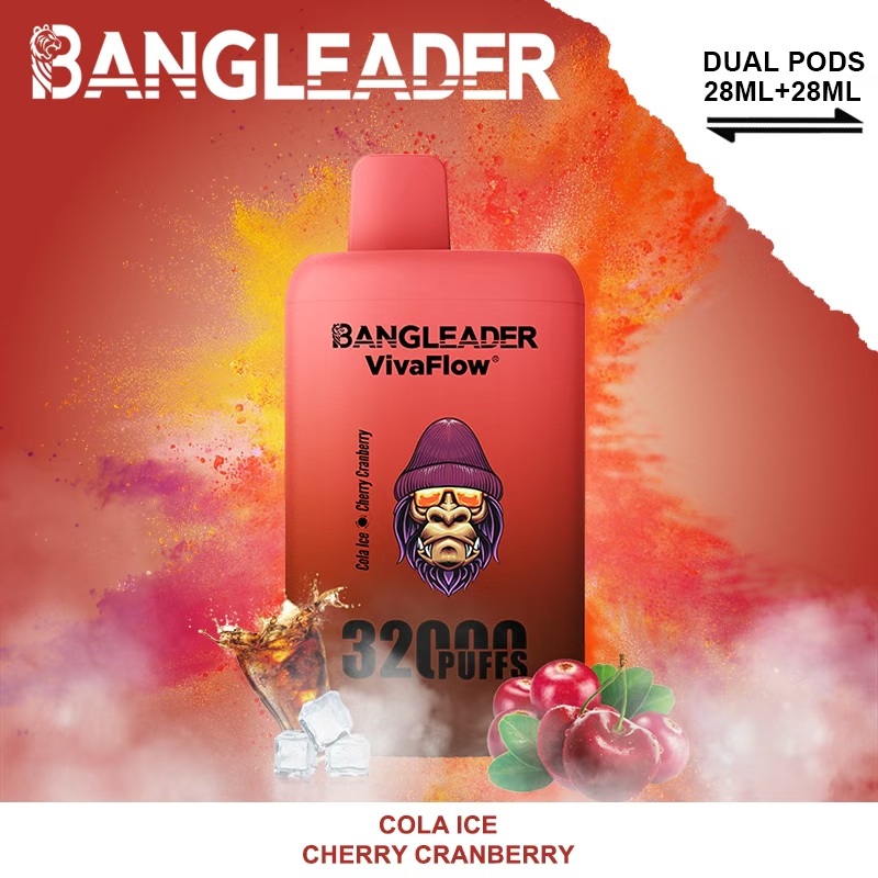 Bang Leader 32000 Puffs Dual Flavors - Disposable Vape