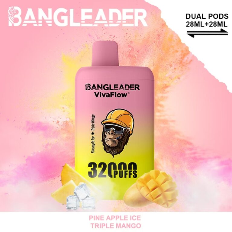 Bang Leader 32000 Puffs Dual Flavors - Disposable Vape specifications