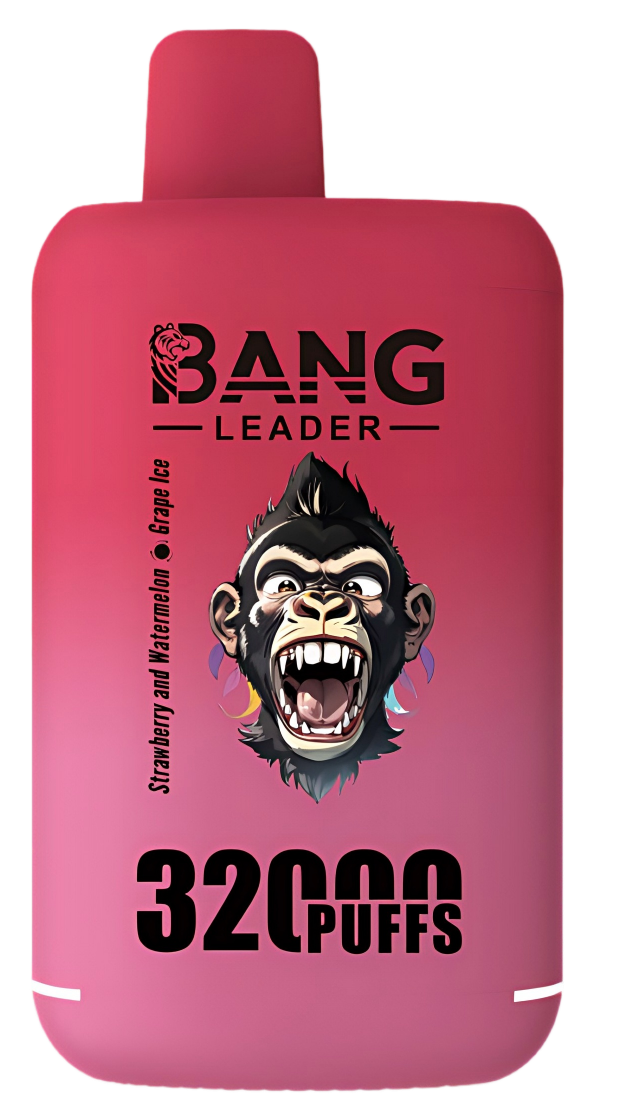 Budget-Friendly Bulk Series