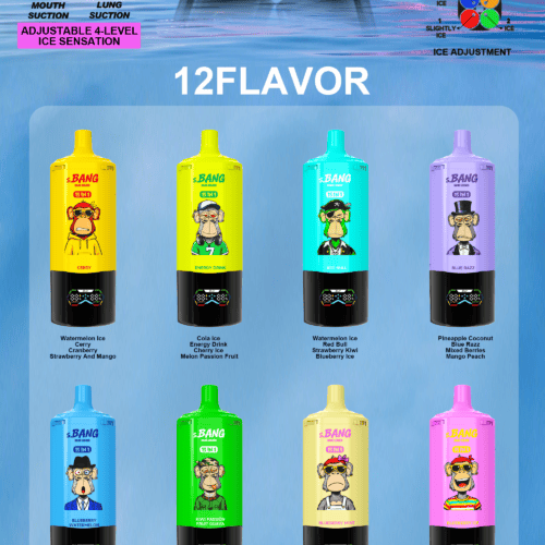 S.Bang - Bang Leader - 450k Puffs - 15 in 1 Flavors - Disposable Vape